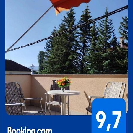 ליבנו Apartman Bor מראה חיצוני תמונה