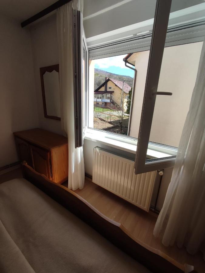 ליבנו Apartman Bor מראה חיצוני תמונה