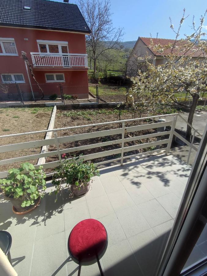 ליבנו Apartman Bor מראה חיצוני תמונה