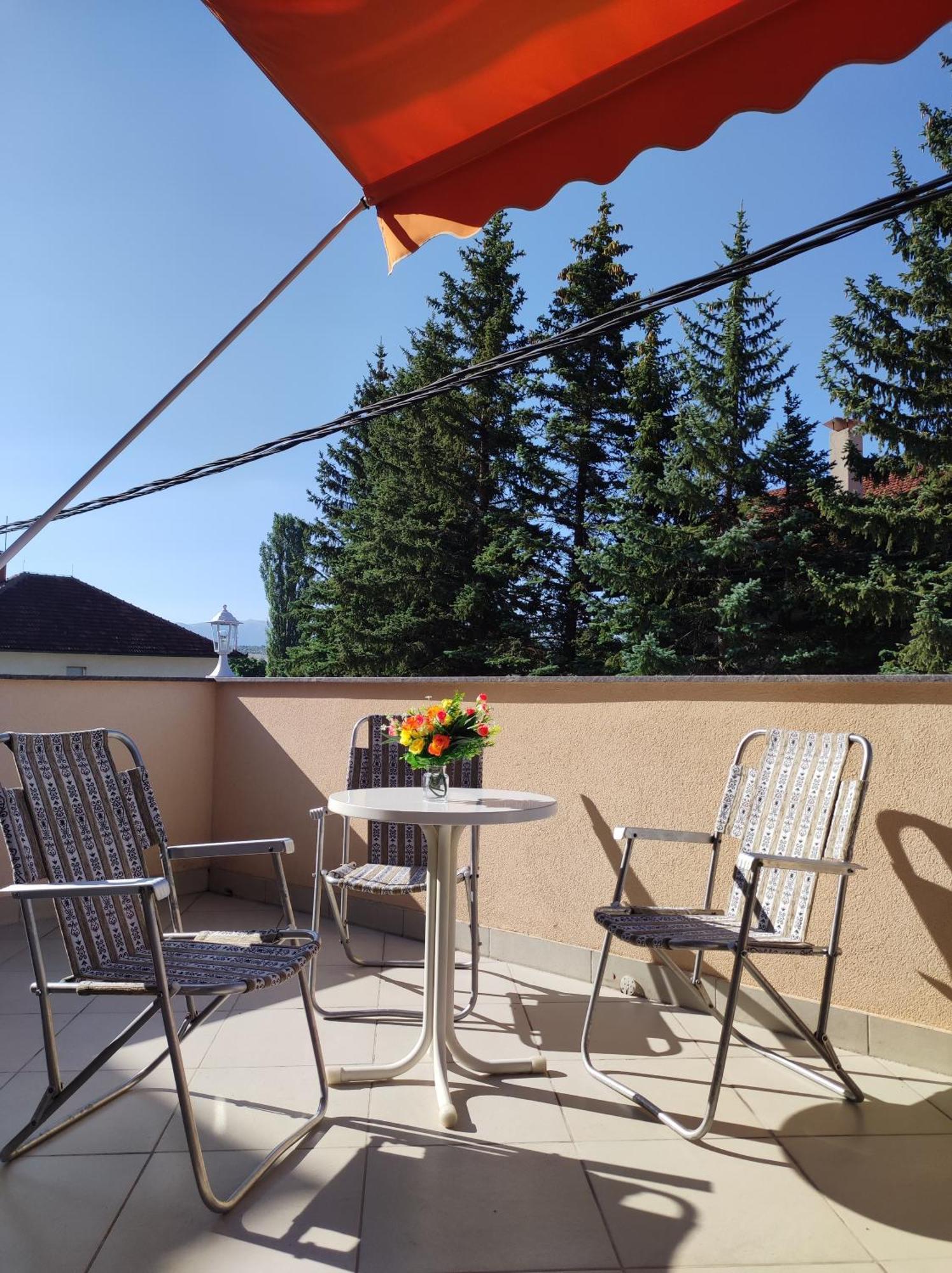 ליבנו Apartman Bor מראה חיצוני תמונה