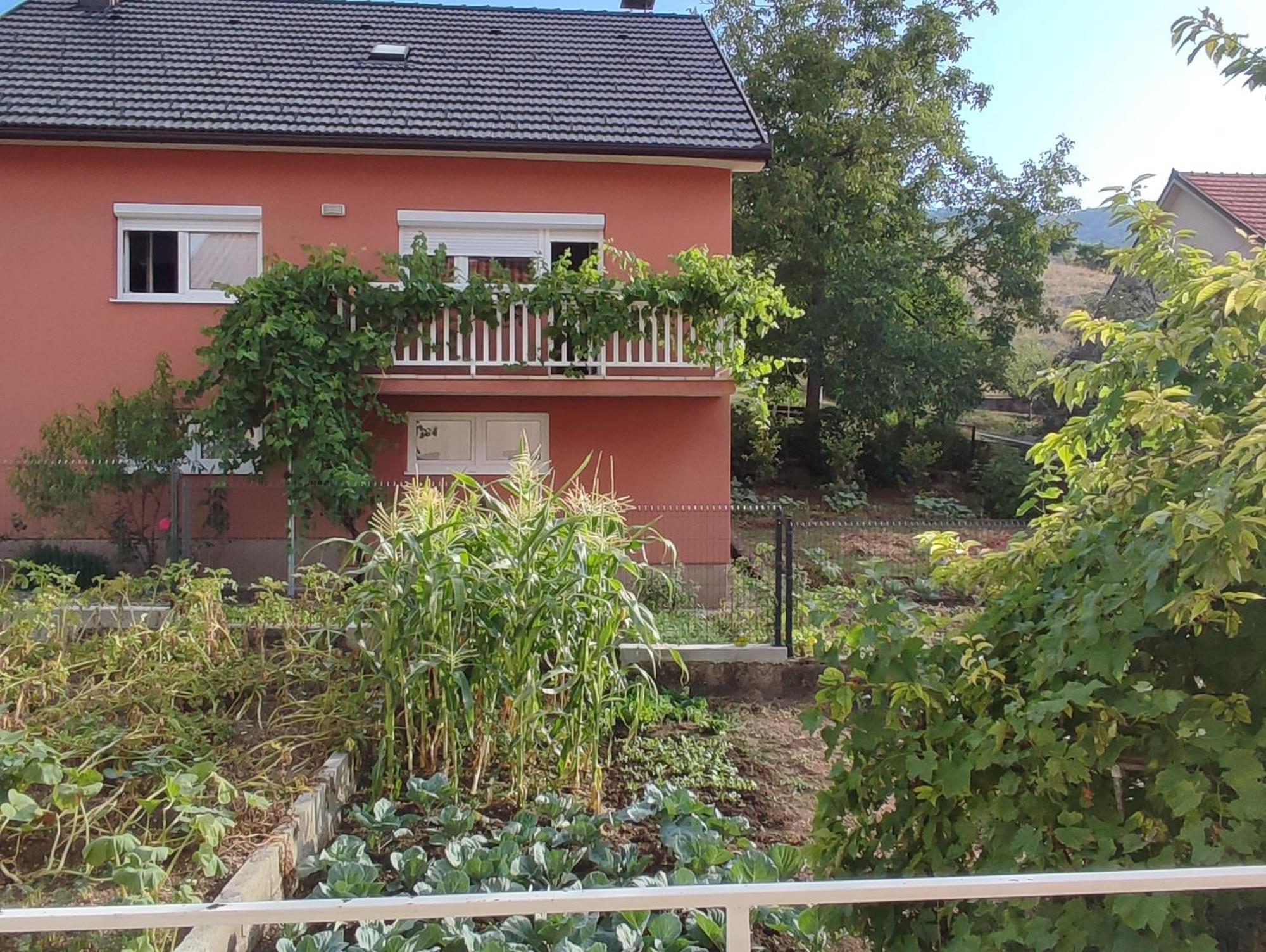 ליבנו Apartman Bor מראה חיצוני תמונה